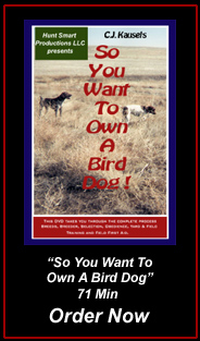 So You Want To Own A Bird Dog