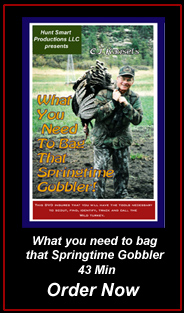 So You Want To Own A Bird Dog