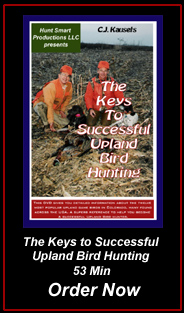 So You Want To Own A Bird Dog